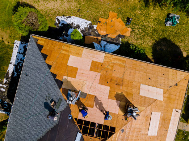 Roof Repair Estimates in The Colony, TX